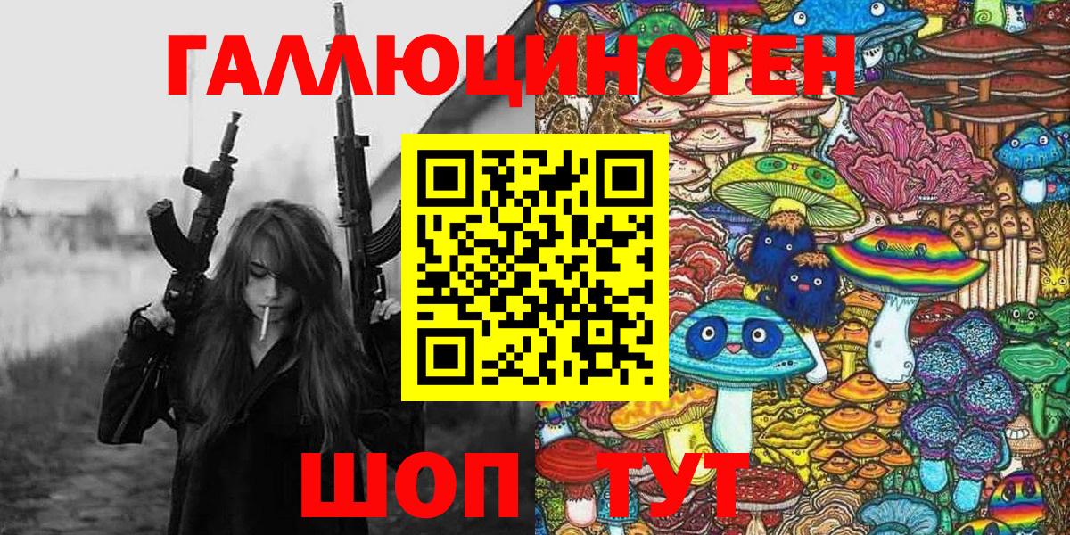 Артём  Псилоцибиновые грибы Psilocybe  Вход с VPN 